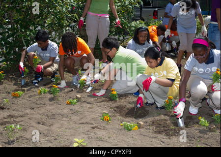 Sesta livellatrici impianto di ortaggi e fiori in un giardino per i bambini della scuola in una scuola di Newark NJ Foto Stock