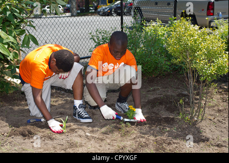 Sesta livellatrici impianto di ortaggi e fiori in un giardino per i bambini della scuola in una scuola di Newark NJ Foto Stock