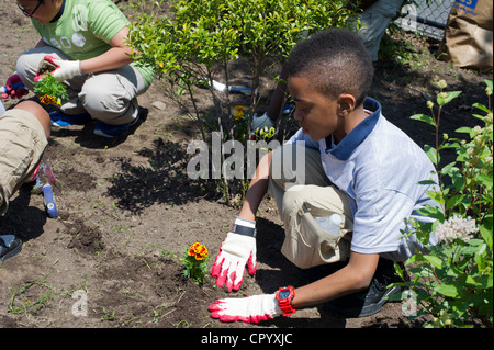 Sesta livellatrici impianto di ortaggi e fiori in un giardino per la scuola dei bambini di una scuola pubblica in Newark NJ Foto Stock