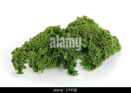 Cavoli freschi (Brassica oleracea var. sabellica) Foto Stock