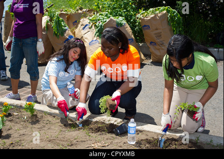 Sesta livellatrici impianto di ortaggi e fiori in un giardino per la scuola dei bambini di una scuola pubblica in Newark NJ Foto Stock