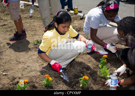 Sesta livellatrici impianto di ortaggi e fiori in un giardino per la scuola dei bambini di una scuola pubblica in Newark NJ Foto Stock