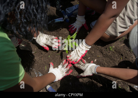 Sesta livellatrici impianto di ortaggi e fiori in un giardino per la scuola dei bambini di una scuola pubblica in Newark NJ Foto Stock