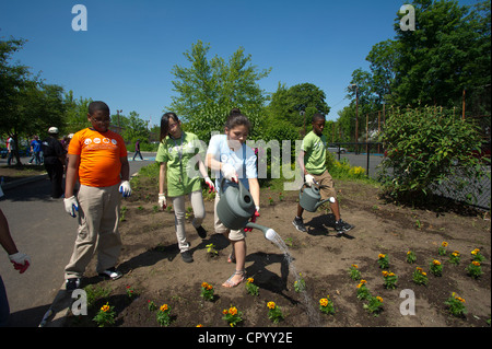 Ottavo livellatrici impianto di ortaggi e fiori in un giardino per la scuola di Newark NJ Foto Stock