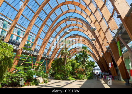 Interior of Winter gardens Sheffield city centre Sheffield South Yorkshire England GB UK EU Europe Foto Stock
