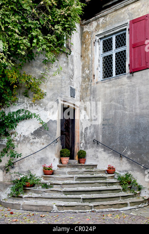 Ingresso di una cantina storica edificio, Forst, Pfalz, Renania-Palatinato, Germania, Europa Foto Stock