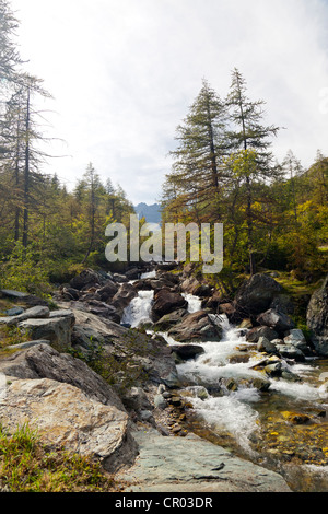 Fiume Po in prossimità della sua testa, Valle Padana, provincia di Cuneo, Piemonte, Italia, Europa Foto Stock