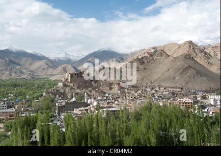 Alta angolazione del distretto storico di Leh, rovinato Leh Palace, pioppi, scenario di montagna, Ladakh, regione di Jammu e Kashmir Foto Stock