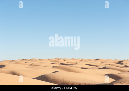 Solitudine, cielo blu, dune di sabbia del deserto del Sahara tra Douz e Ksar Ghilane, Tunisia meridionale, Tunisia, Maghreb, Nord Africa Foto Stock