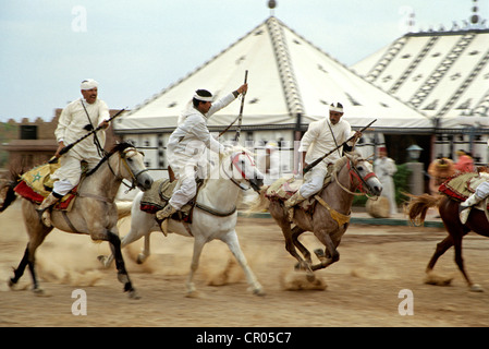 Il Marocco, Alto Atlante, Marrakech città imperiale, fantasia, tradizionale spettacolo di cavalli nel Magreb Foto Stock