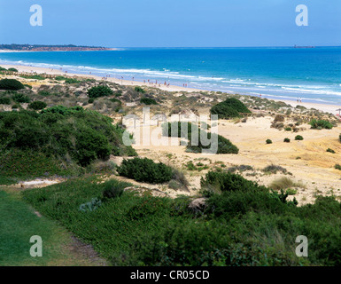 Spagna. Luz. Costa de la Luz. La Barrosa. Vista delle dune di sabbia e spiaggia. Foto Stock