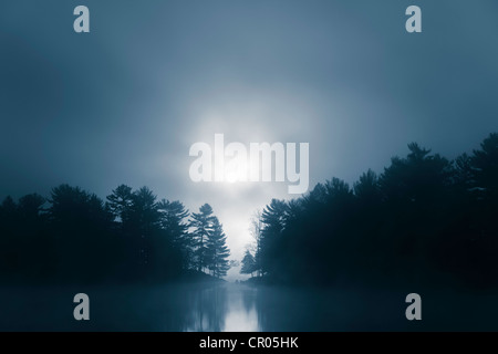 Nebbia laminazione su alberi e ancora il lago Foto Stock