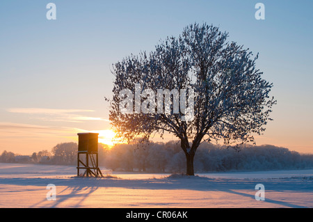 Tramonto su un paesaggio innevato, Bassa Sassonia, Germania, Europa Foto Stock