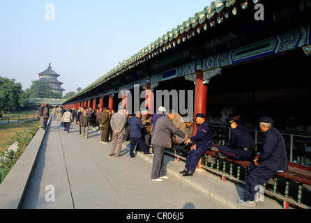 Cina, Pechino, Tempio del Paradiso (Tian Tan) elencati come patrimonio mondiale dall' UNESCO, Tian Tan park Foto Stock