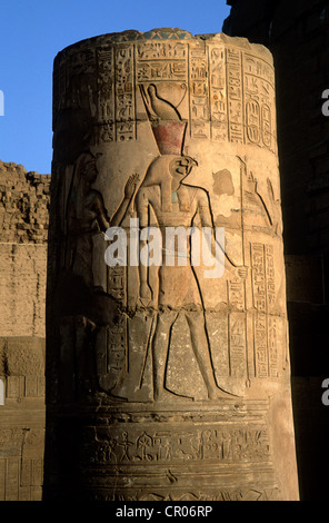 Egitto Alto Egitto, Valle del Nilo, Kom Ombo tempio dedicato a Sobek il dio con un coccodrillo testa di bassorilievi con dio Horus Foto Stock