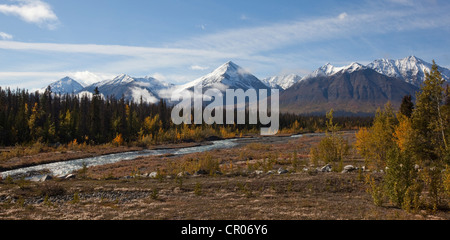 Quill Creek, estate indiana, le foglie in autunno i colori dell'autunno, St. Elias montagne, Parco Nazionale Kluane e riserva dietro Foto Stock