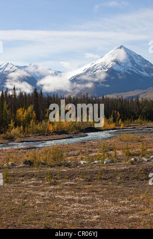 Quill Creek, estate indiana, le foglie in autunno i colori dell'autunno, St. Elias montagne, Parco Nazionale Kluane e riserva dietro Foto Stock