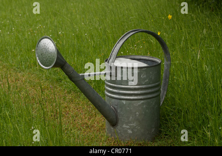 Un alluminio annaffiatoio si erge tra lungo erba di prato Foto Stock