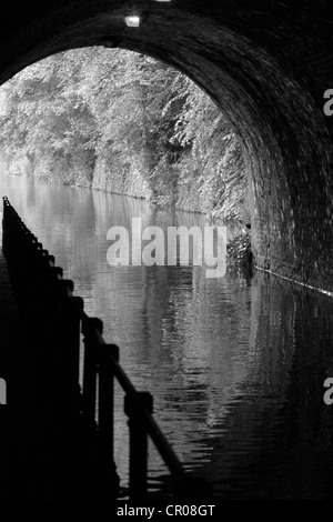 Una vista da sotto di un ponte di mattoni su un canale in Birmingham Foto Stock