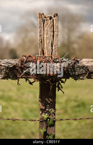 Filo spinato e ivy sulla staccionata in legno post in forma di croce Foto Stock