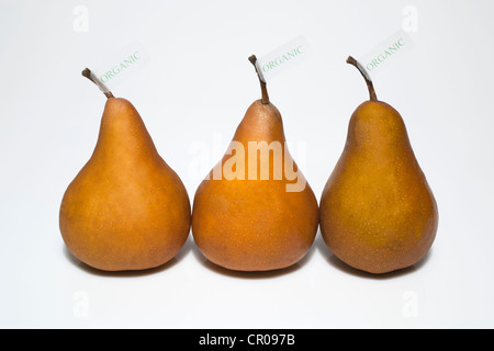 Prodotti Biologici, still-life di tre pere marrone Foto Stock