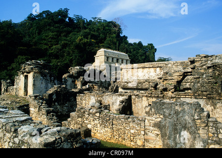 Messico, Chiapas, sito Maya di Palenque, classificato come patrimonio mondiale dall' UNESCO