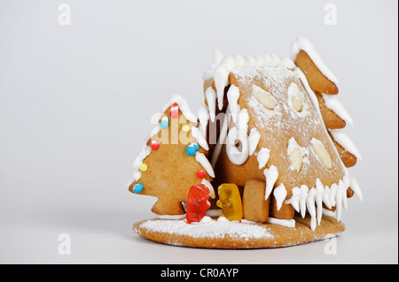 Casa di panpepato, biscotti di Natale Foto Stock