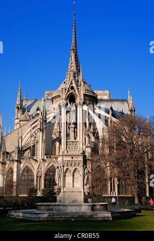 Francia, Parigi, Ile de la Cite, Jean XXIII giardino pubblico, fontana della Beata Vergine e abside della Cattedrale di Notre Dame Foto Stock