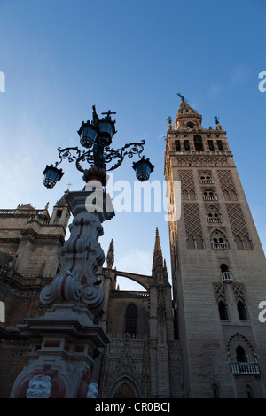 Basso angolo di vista ornato le luci di strada Foto Stock