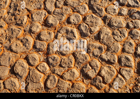 Rotture di superficie di un sale e argilla pan, nella regione Tehak, Acacus montagne o Tadrart Acacus, gamma del Tassili n'Ajjer National Park Foto Stock