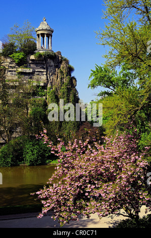 Francia, Parigi, Buttes Chaumont Park, il Belvédère o il tempio della Sibilla e un giapponese di ciliegio (Prunus sp.) in primavera Foto Stock