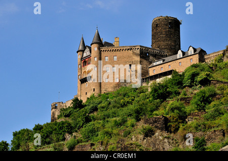 Burg Katz castello, San Goarshausen, Renania-Palatinato, Germania, Europa Foto Stock