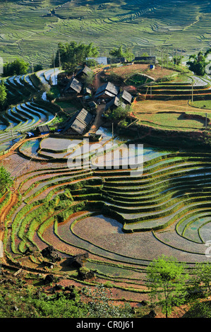 Case, coltivatori di riso, verdi terrazze di riso, riso risoni di Sapa o Sa Pa, Lao Cai provincia, nel Vietnam del Nord, Vietnam Foto Stock