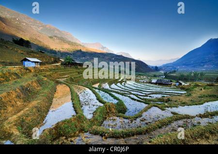 Superfici irrigate terrazze di riso, riso risoni di Sapa o Sa Pa, Lao Cai provincia, nel Vietnam del Nord, Vietnam, Asia sud-orientale, Asia Foto Stock