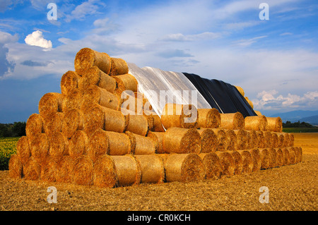 Pila di round le balle di paglia Foto Stock