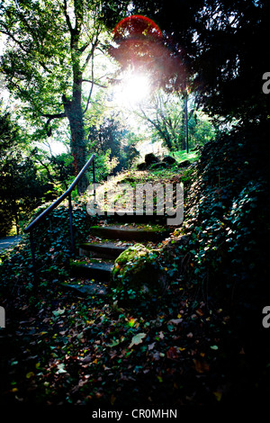 Park a Schloss castello Callenberg, Coburg, Baviera, Germania, Europa Foto Stock