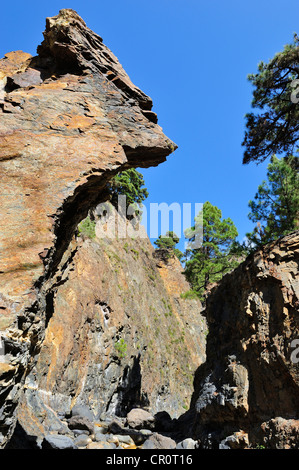 Barranco de las Angustias, Valle di paura, la Palma Isole Canarie Spagna, Europa PublicGround Foto Stock