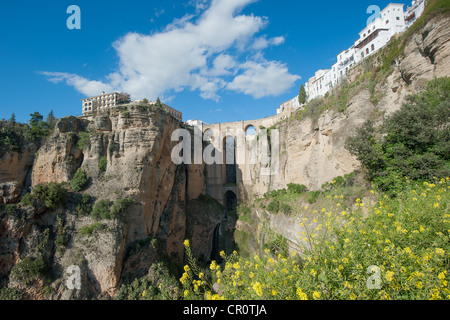 Ponte di Ronda, Andalusia, Ronda, Spagna Foto Stock