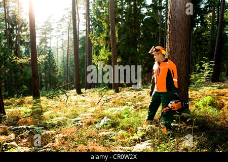 Un taglialegna al lavoro nella foresta Foto Stock