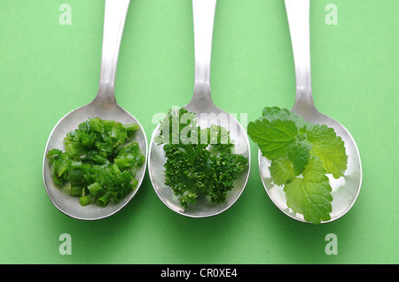 Erbe aromatiche fresche, prezzemolo, erba cipollina, menta, sul vecchio cucchiai Foto Stock