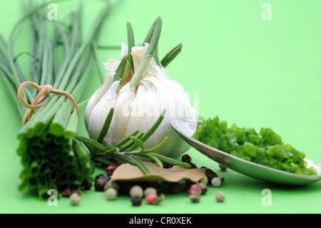 Le erbe aromatiche e le spezie, erba cipollina, aglio, rosmarino, pepe e la foglia di alloro Foto Stock