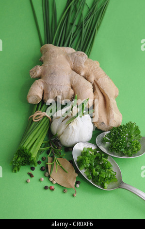 Le erbe aromatiche e le spezie, zenzero, erba cipollina, aglio, rosmarino, prezzemolo, pepe e la foglia di alloro Foto Stock