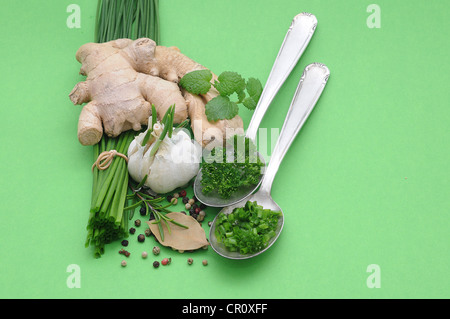 Le erbe aromatiche e le spezie, zenzero, erba cipollina, aglio, rosmarino, prezzemolo, pepe e la foglia di alloro, menta Foto Stock