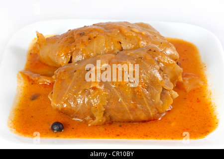 Il polacco piatto tradizionale cavolo , la carne macinata con riso in salsa di pomodoro Foto Stock