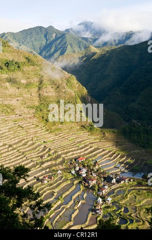 Filippine, isola di Luzon, Ifugao Provincia, campi di riso di Batad, classificato come patrimonio mondiale dall' UNESCO Foto Stock