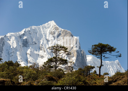 Il Nepal, il Parco Nazionale di Sagarmatha, Solu Khumbu distretto, area Everest Foto Stock