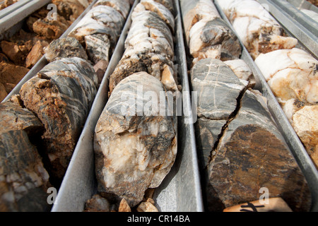 Rotture di bit del core drill rock campione utilizzato nell'esplorazione mineraria. Nuovo Galles del Sud, Austrlia Foto Stock