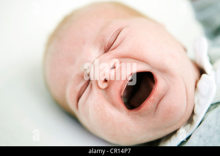 Baby girl gridando e urlando, ritratto Foto Stock