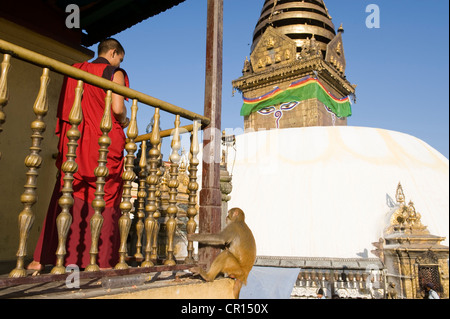 Il Nepal, Valle di Kathmandu sono classificati come patrimonio mondiale dall' UNESCO, zona di Bagmati, Swayambhunath Stupa buddisti Foto Stock