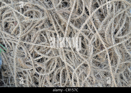 Cavi costituiti da fibre di cocco, fabbrica in Sri Lanka, Ceylon, Asia del Sud, Asia Foto Stock